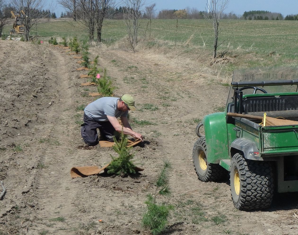 Photo_3_P5010183_Spring_buffer_planting_along_municipal_drain_Post.jpg