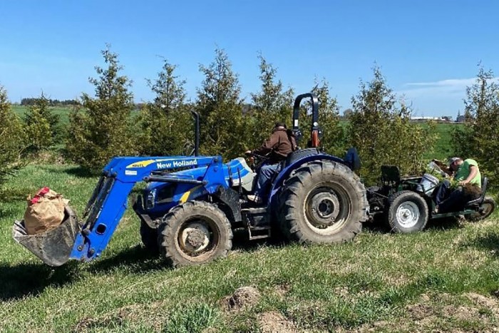 A photo of tree planting in Pine River Watershed.