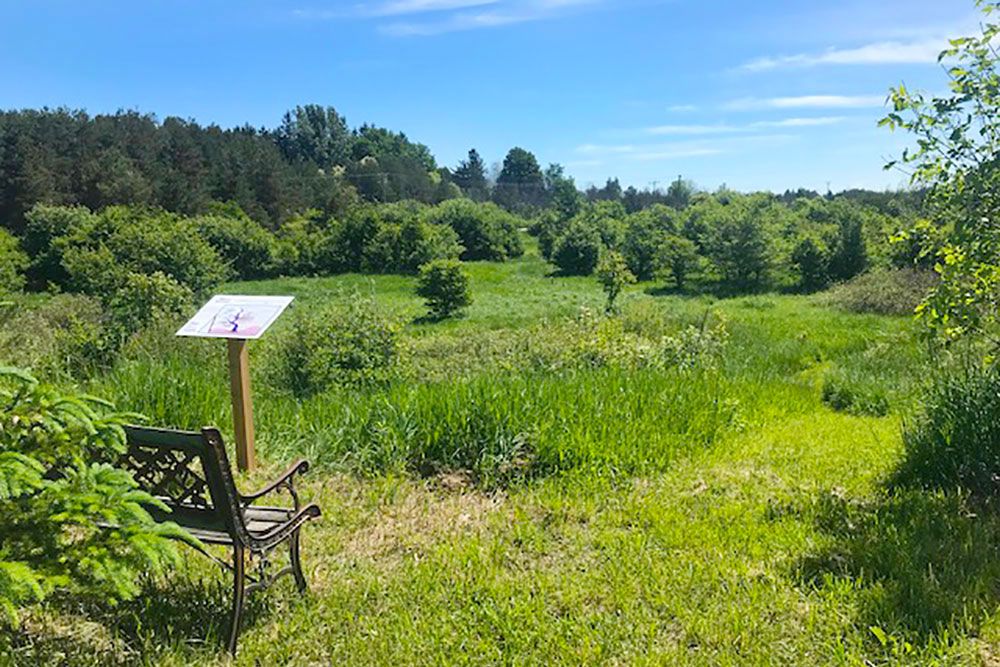 A photo of McLarty Environmental Study Area